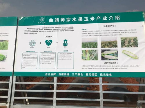 推廣有機肥改良土壤結構，云南國發(fā)助力師宗煙草綠色高質(zhì)量發(fā)展